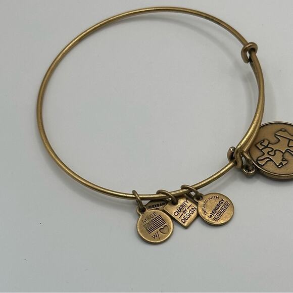 Alex & Ani Bangle Bracelet Charity The Puzzle National Autism - Picture 10 of 10
